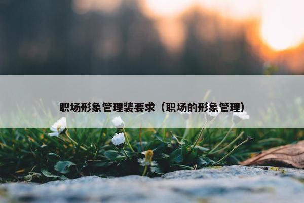 职场形象管理装要求（职场的形象管理）