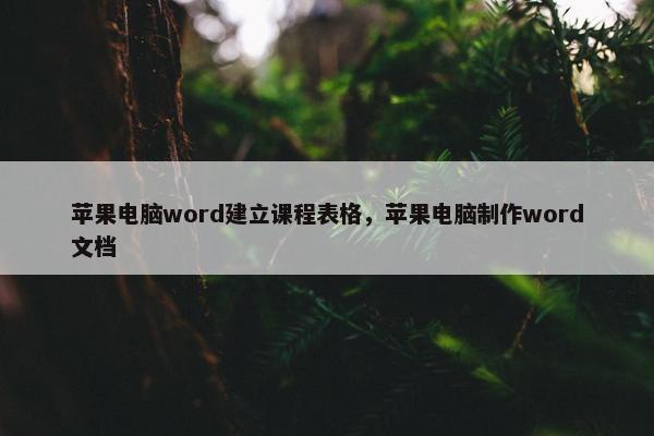 苹果电脑word建立课程表格，苹果电脑制作word文档