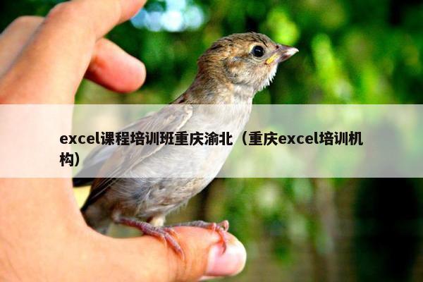 excel课程培训班重庆渝北（重庆excel培训机构）