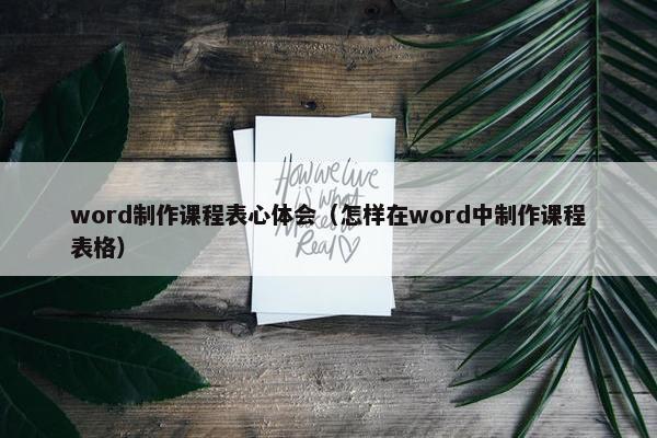 word制作课程表心体会（怎样在word中制作课程表格）