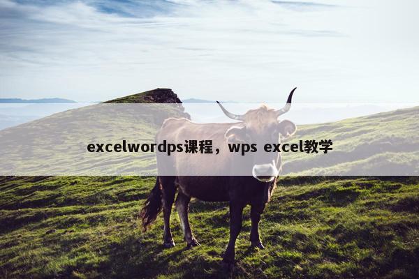 excelwordps课程，wps excel教学