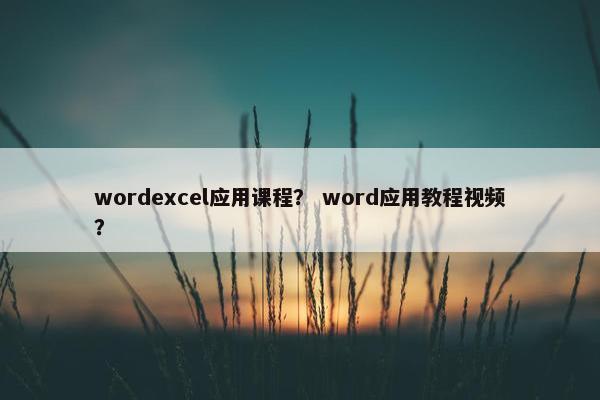 wordexcel应用课程？ word应用教程视频？