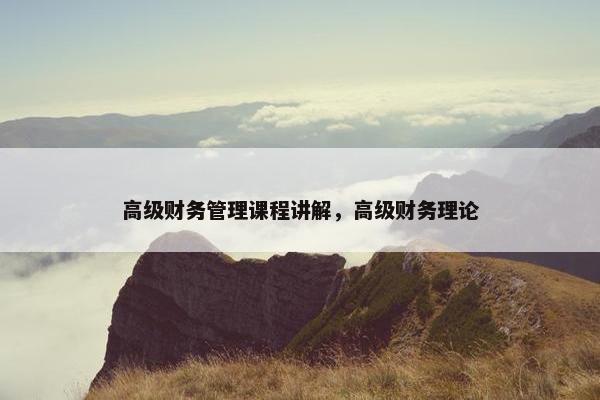 高级财务管理课程讲解，高级财务理论