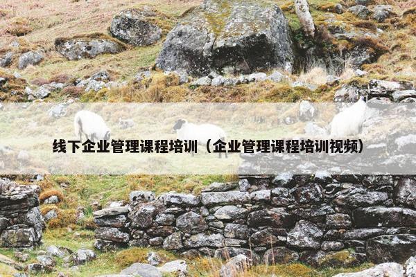线下企业管理课程培训（企业管理课程培训视频）