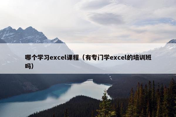 哪个学习excel课程（有专门学excel的培训班吗）