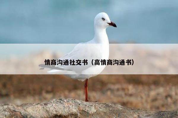 情商沟通社交书（高情商沟通书）