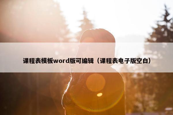 课程表模板word版可编辑（课程表电子版空白）