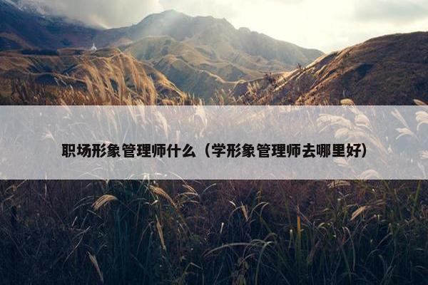 职场形象管理师什么（学形象管理师去哪里好）