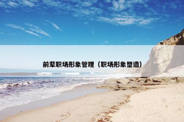 前辈职场形象管理（职场形象塑造）