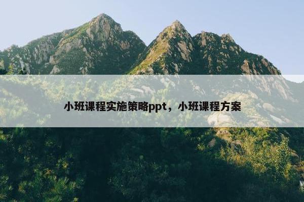 小班课程实施策略ppt，小班课程方案