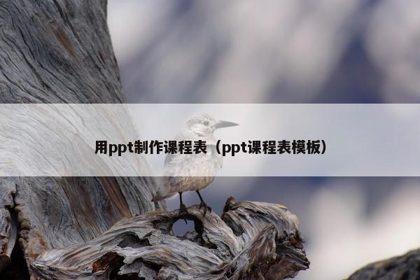 用ppt制作课程表（ppt课程表模板）