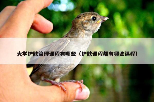 大学护肤管理课程有哪些（护肤课程都有哪些课程）