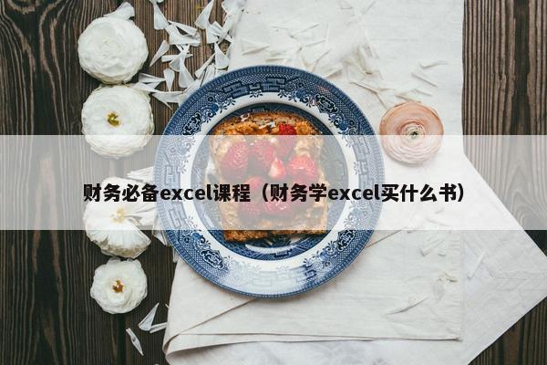 财务必备excel课程（财务学excel买什么书）