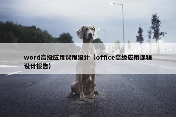 word高级应用课程设计（office高级应用课程设计报告）