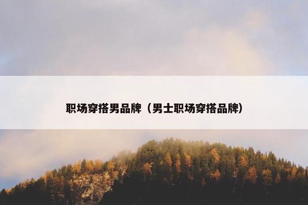职场穿搭男品牌（男士职场穿搭品牌）