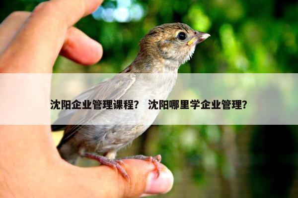沈阳企业管理课程？ 沈阳哪里学企业管理？