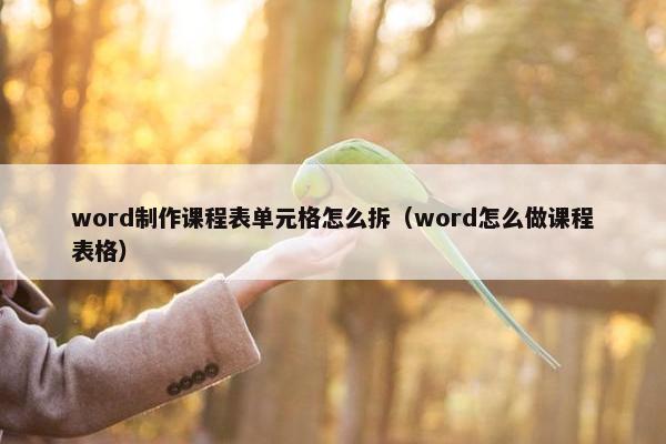 word制作课程表单元格怎么拆（word怎么做课程表格）
