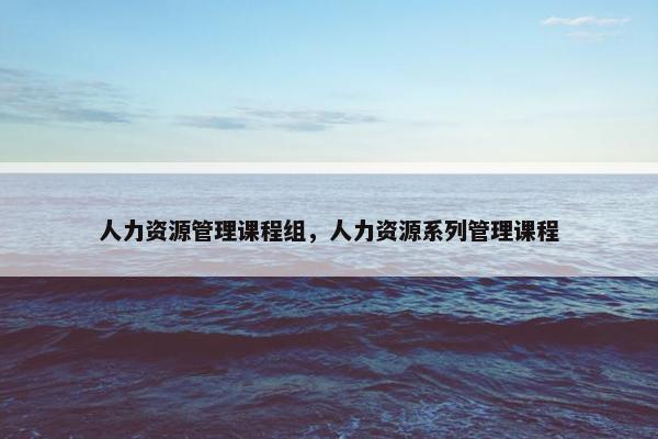 人力资源管理课程组，人力资源系列管理课程
