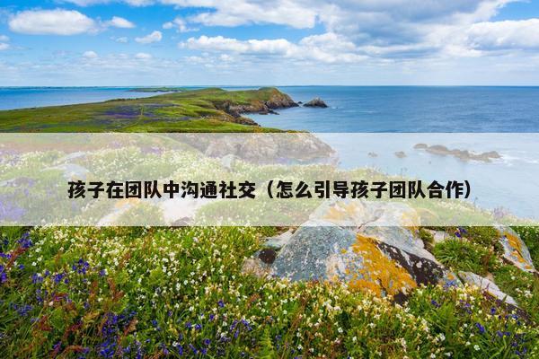 孩子在团队中沟通社交（怎么引导孩子团队合作）