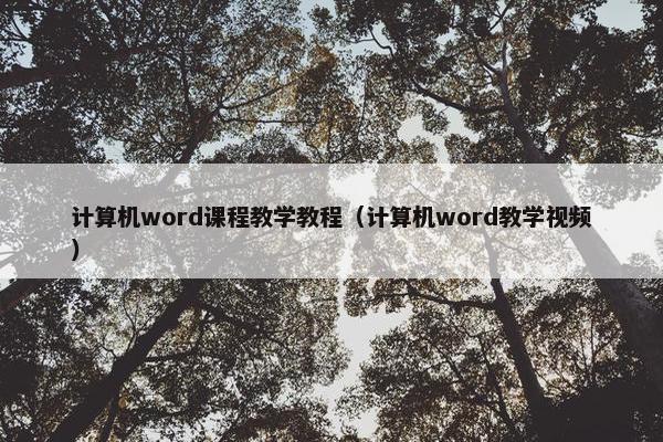 计算机word课程教学教程（计算机word教学视频）