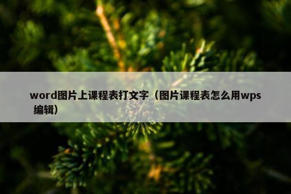 word图片上课程表打文字（图片课程表怎么用wps 编辑）