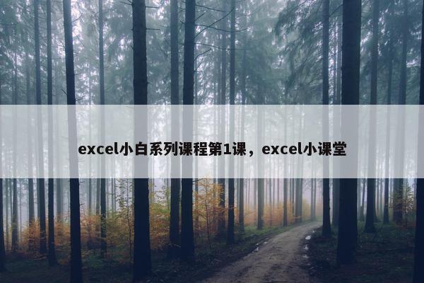 excel小白系列课程第1课，excel小课堂