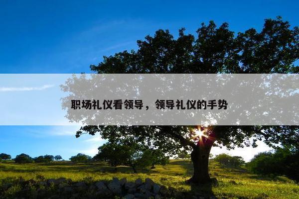 职场礼仪看领导，领导礼仪的手势