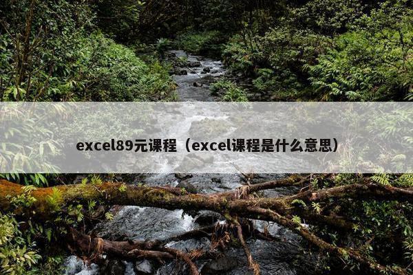 excel89元课程（excel课程是什么意思）