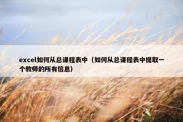 excel如何从总课程表中（如何从总课程表中提取一个教师的所有信息）