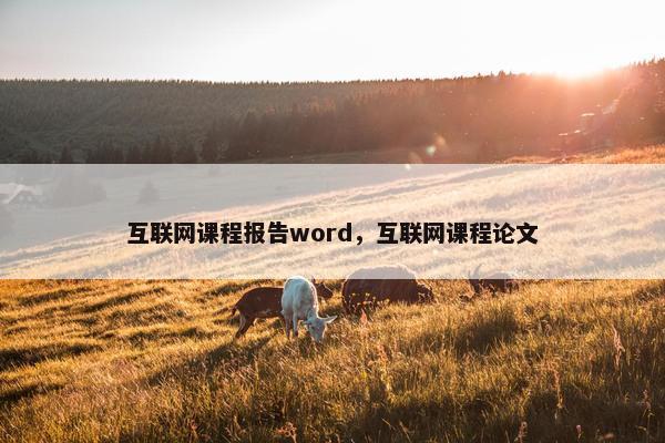 互联网课程报告word，互联网课程论文