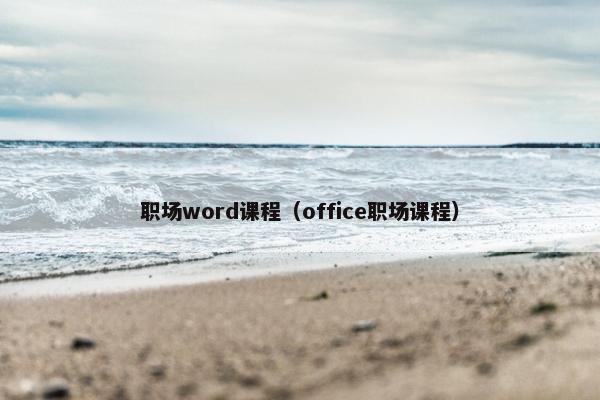 职场word课程（office职场课程）