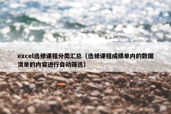 excel选修课程分类汇总（选修课程成绩单内的数据清单的内容进行自动筛选）