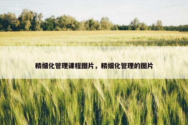 精细化管理课程图片，精细化管理的图片