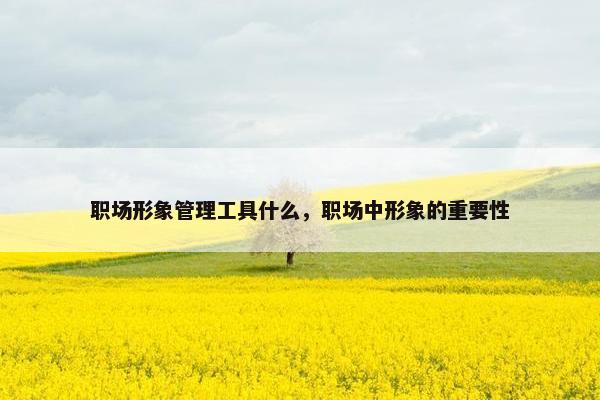 职场形象管理工具什么，职场中形象的重要性