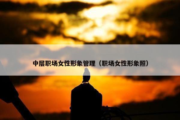 中层职场女性形象管理（职场女性形象照）