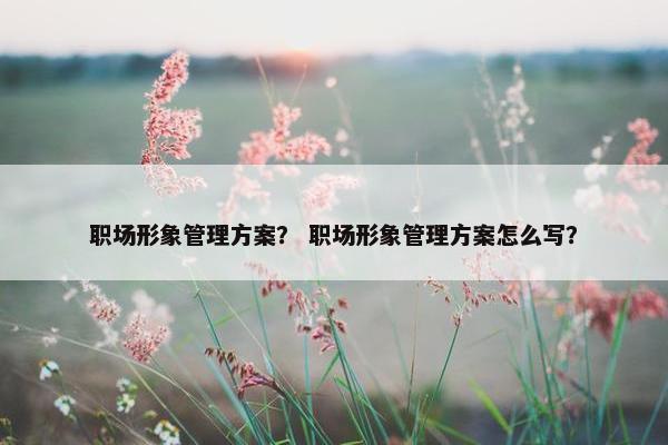 职场形象管理方案？ 职场形象管理方案怎么写？