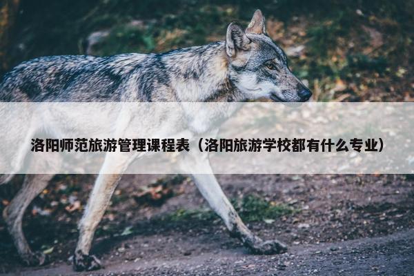 洛阳师范旅游管理课程表（洛阳旅游学校都有什么专业）