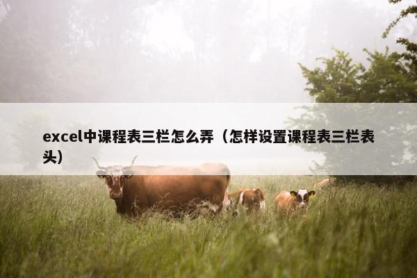 excel中课程表三栏怎么弄（怎样设置课程表三栏表头）