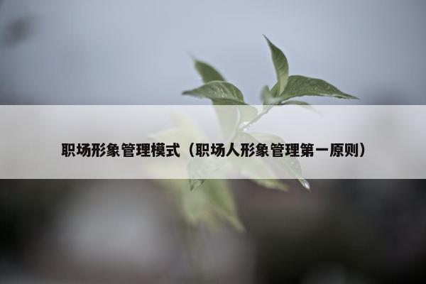 职场形象管理模式（职场人形象管理第一原则）