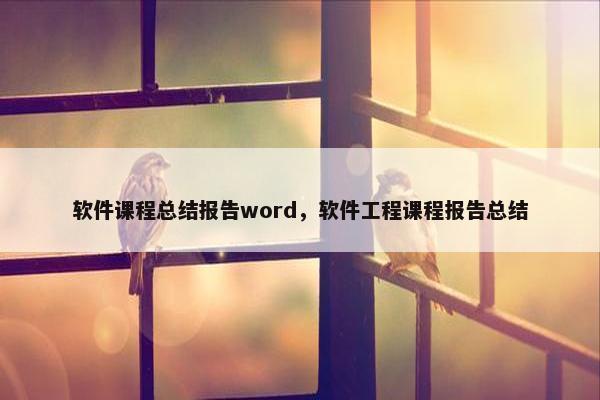 软件课程总结报告word，软件工程课程报告总结