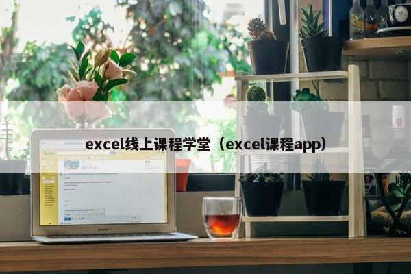 excel线上课程学堂（excel课程app）