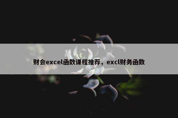 财会excel函数课程推荐，excl财务函数