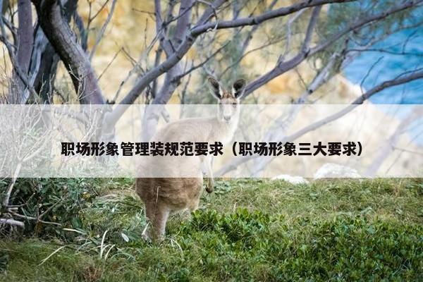 职场形象管理装规范要求（职场形象三大要求）