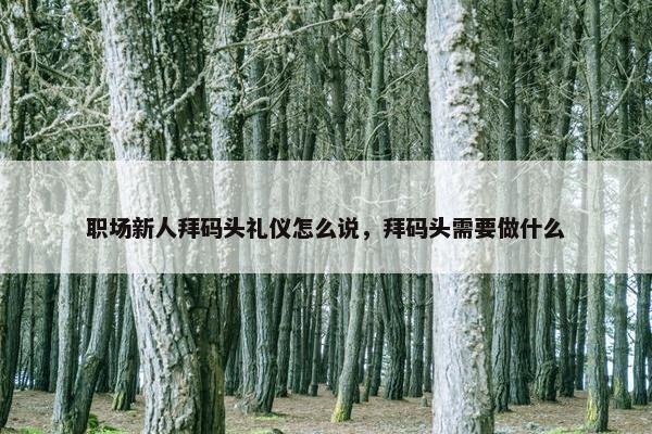 职场新人拜码头礼仪怎么说，拜码头需要做什么
