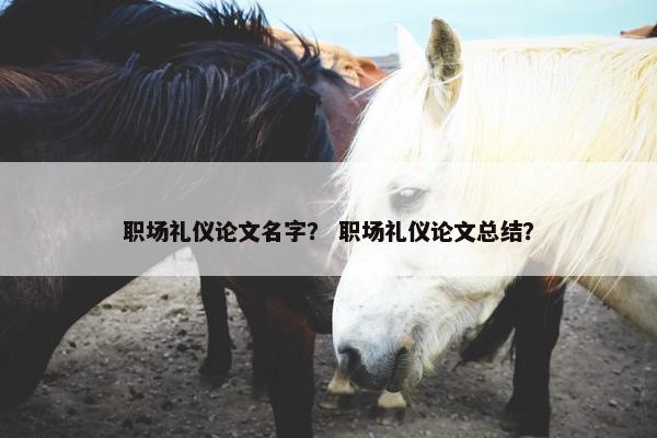职场礼仪论文名字？ 职场礼仪论文总结？