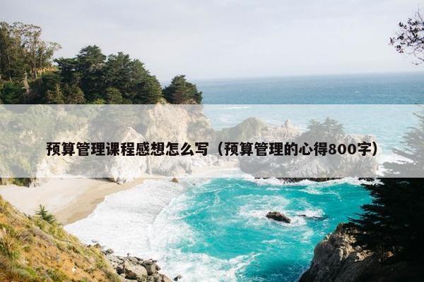 预算管理课程感想怎么写（预算管理的心得800字）