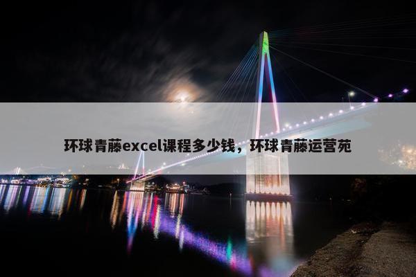 环球青藤excel课程多少钱，环球青藤运营苑