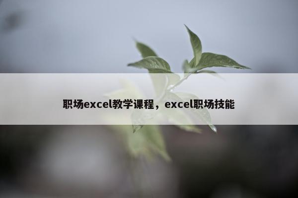 职场excel教学课程，excel职场技能