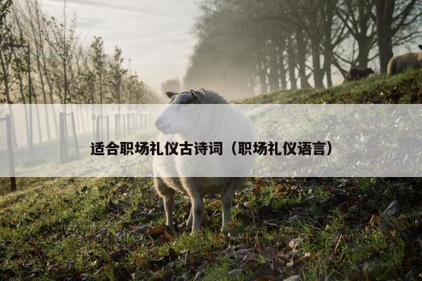 适合职场礼仪古诗词（职场礼仪语言）