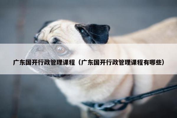 广东国开行政管理课程（广东国开行政管理课程有哪些）